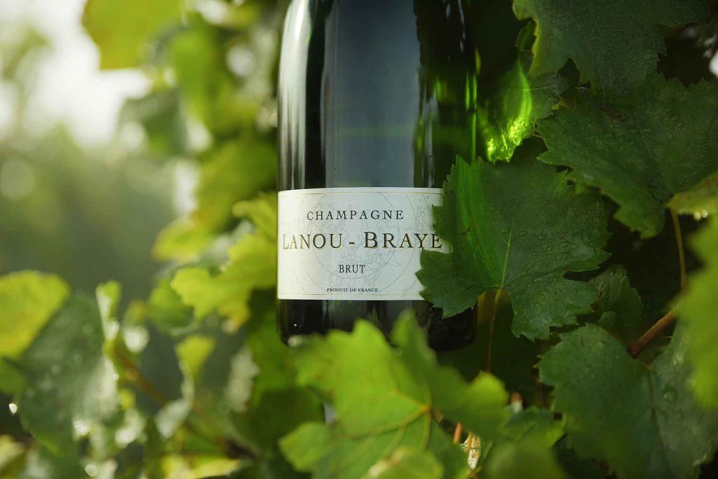 Champagne_Lanou-Braye_22